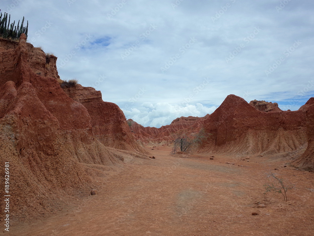 Fototapeta premium The Martian landscape of Cuzco, the Red Desert, part of Colombia's Tatacoa Desert. The area is an ancient dried forest and popular tourist destination.