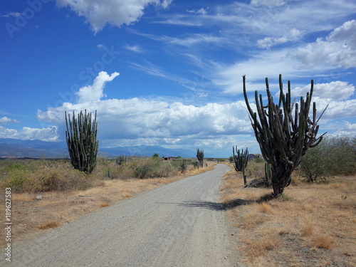 The road running through Colombia's Tatacoa desert, connecting Cuzco with Los Hoyos