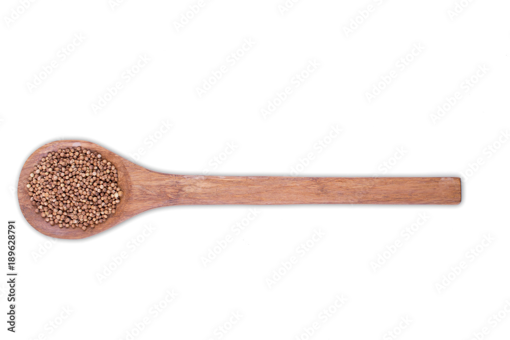 Coriander, seeds on wooden spoon isolated on white background
