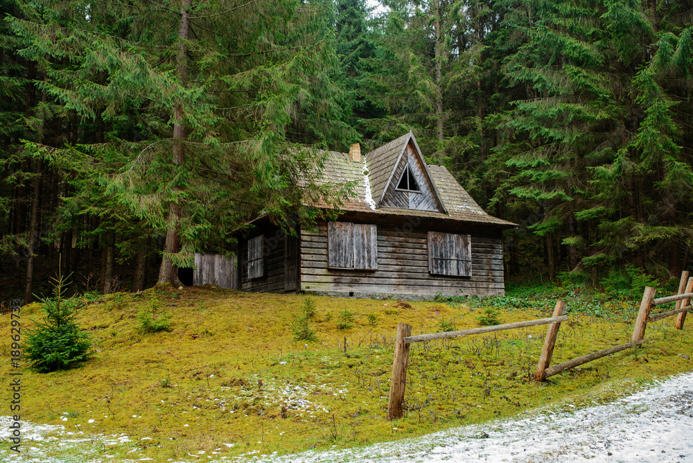 View on the carpathian pinewood house View on the carpathian pinewood house