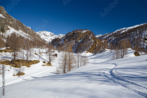 Mountain winter landscape