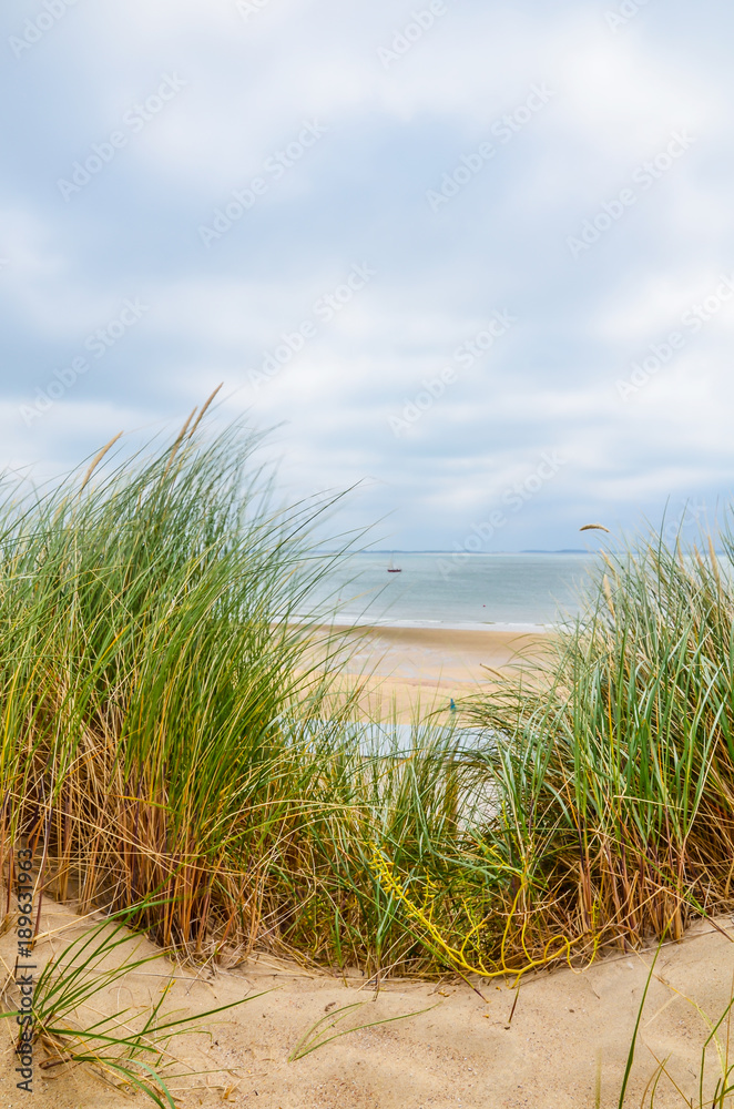 Fototapeta premium Strand Dünengras Nordsee / Ostsee