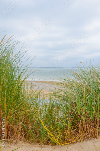 Strand Dünengras Nordsee / Ostsee