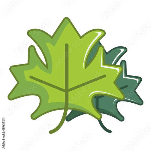 Green maple leaves icon, cartoon style