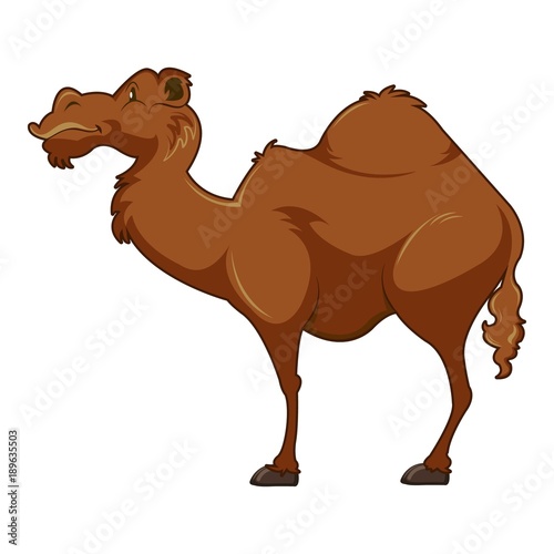 Camel icon, cartoon style