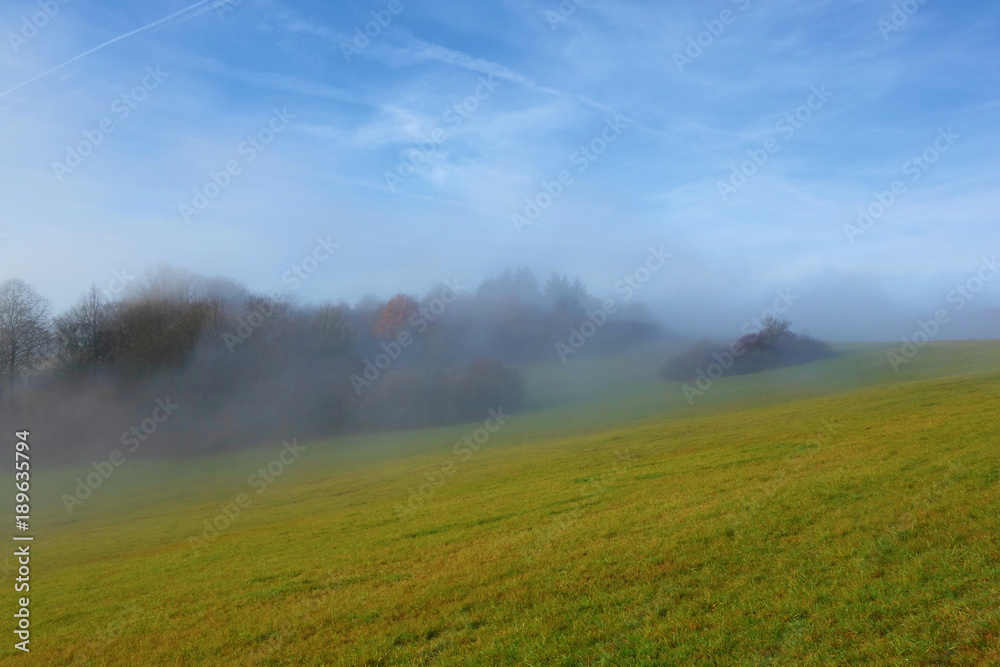 Dreamy and Foggy green meadow. Vltava, Czech Republic, Czech landscape Dreamy and Foggy green meadow. Vltava, Czech Republic, Czech landscape