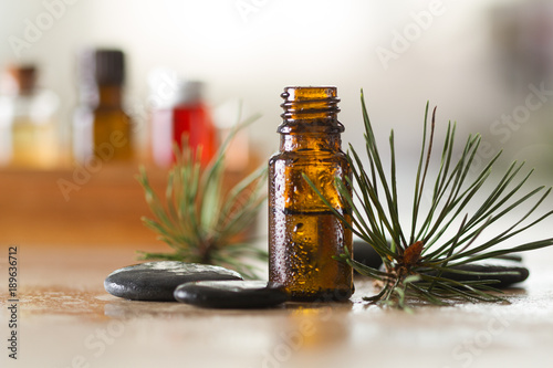 Pine essential oil, stones and pine twigs photo