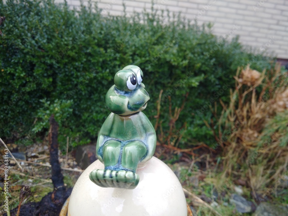 glass frog sitting