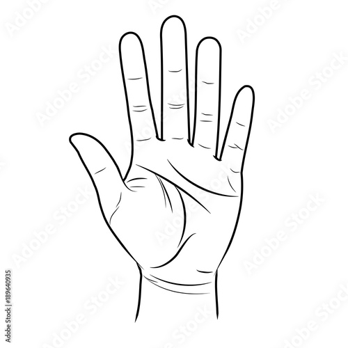 The open hand is lifted up. Divination by lines on the palm