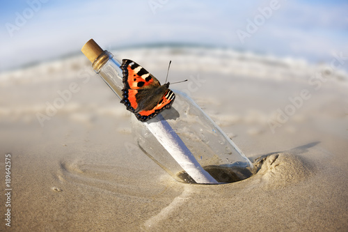 Flaschenpost mit Schmetterling