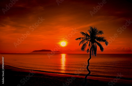 Landscapes of Silhouette coconut palm trees on beach at sunset.