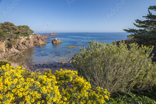 Corniche de l'Estérel, calanque de la Baumette, Var photo