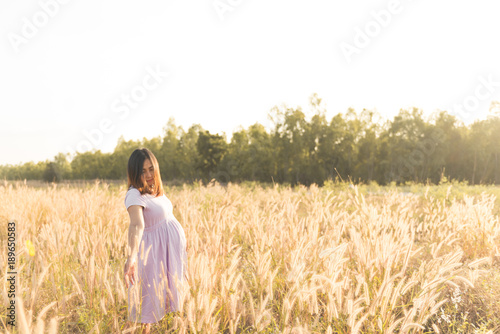 Portrait of pregnant woman on the field Asian woman hold grass flower on sunset