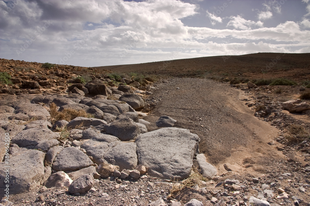 Fuerteventura Desert