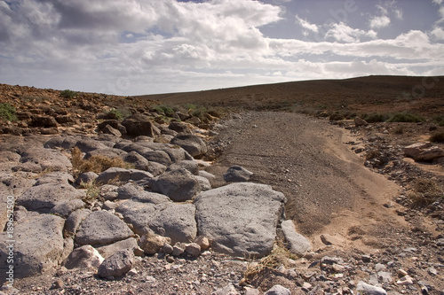 Obraz na płótnie Fuerteventura Desert w salonie