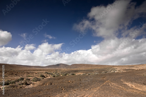 Obraz na płótnie Fuerteventura Desert w salonie
