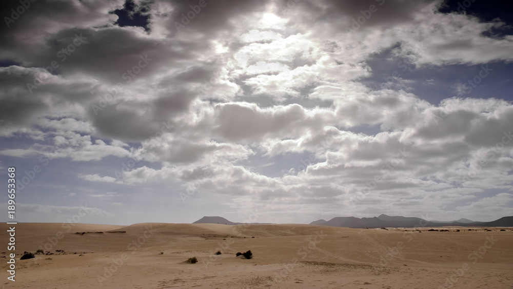 Fuerteventura Desert