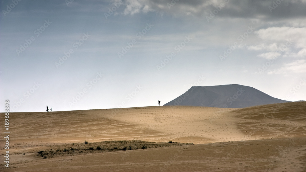 Fuerteventura Desert