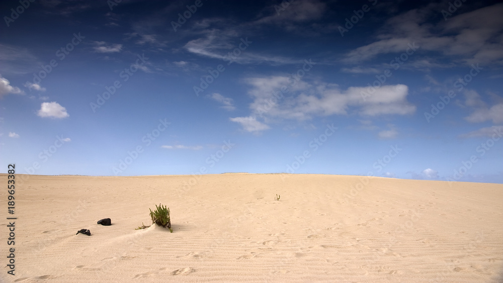 Fuerteventura Desert