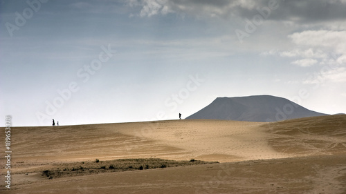 Obraz na płótnie Fuerteventura Desert w salonie