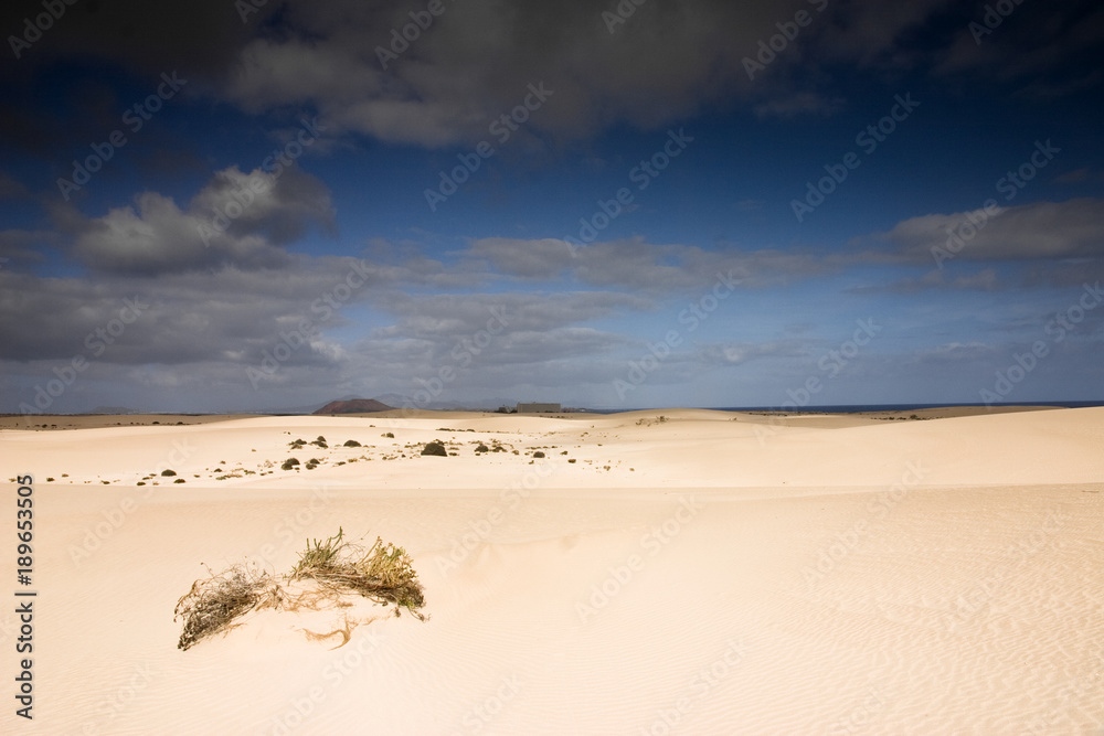 Fuerteventura Desert