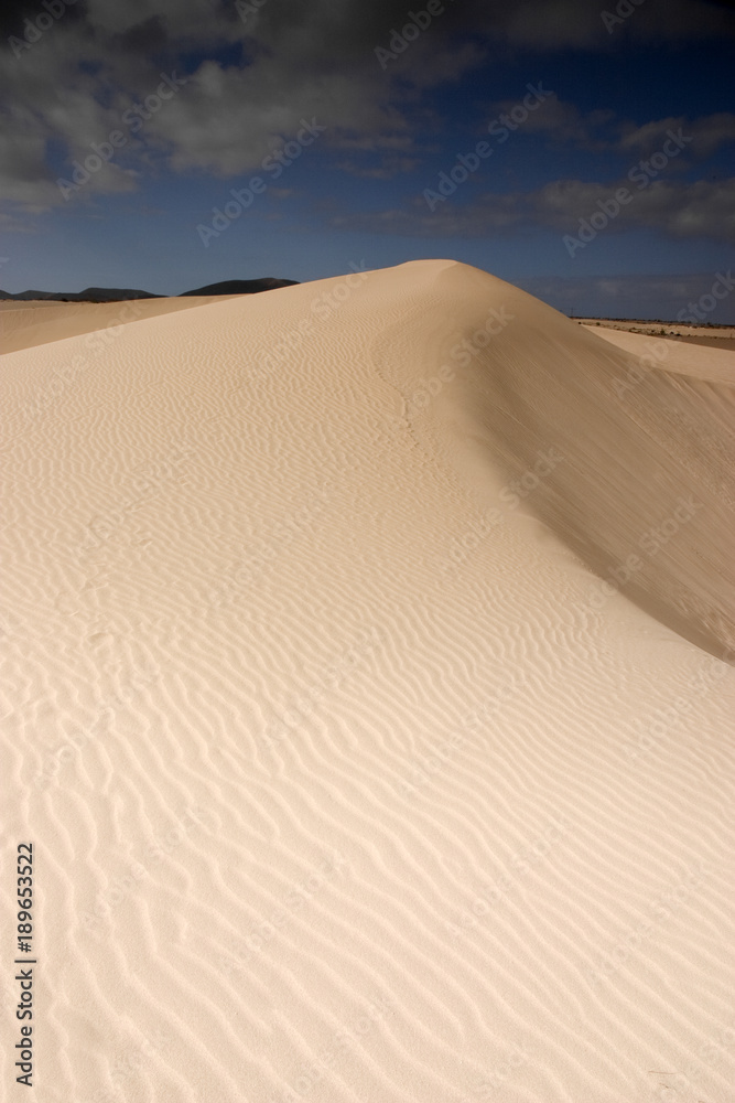 Fuerteventura Desert