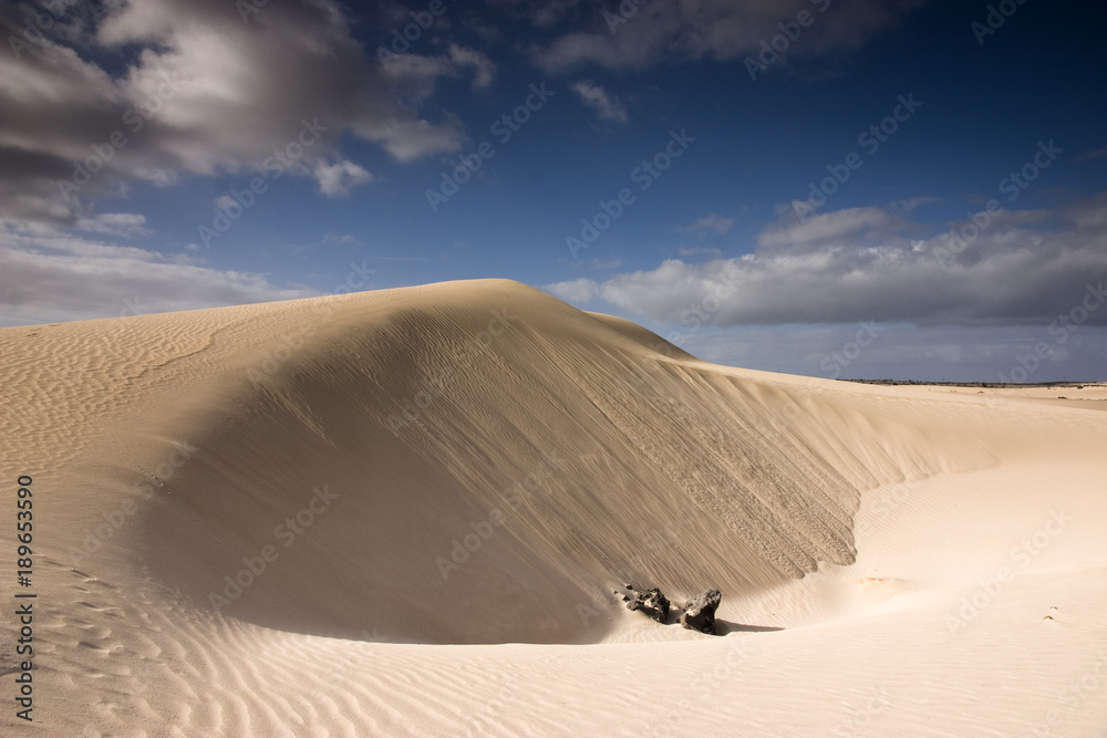 Fuerteventura Desert