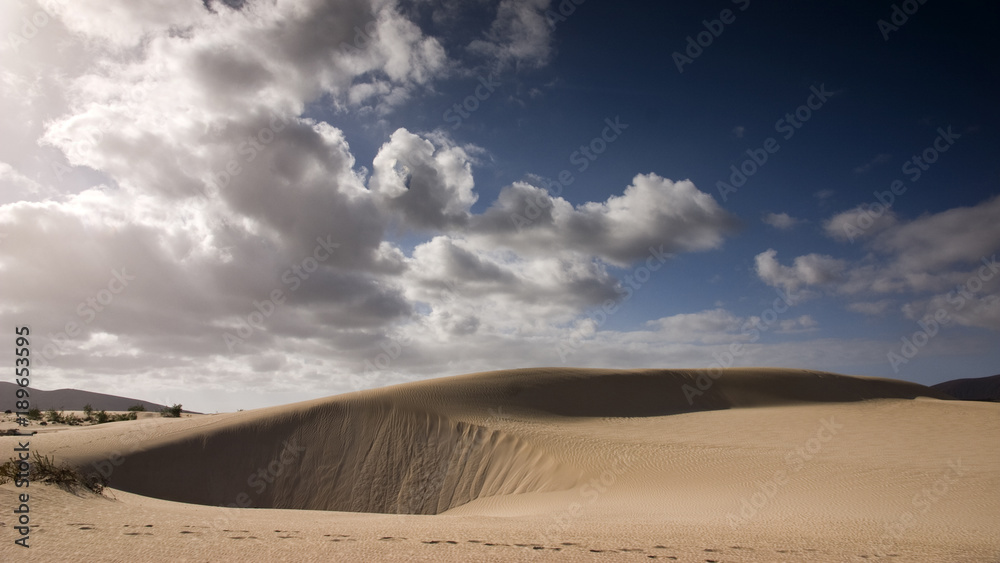 Fuerteventura Desert