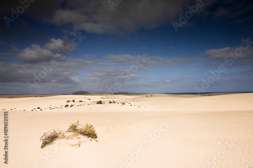 Obraz na płótnie Fuerteventura Desert w salonie