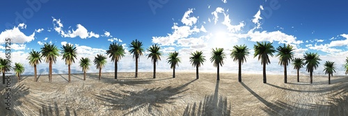 Palm trees in a row on a tropical beach 