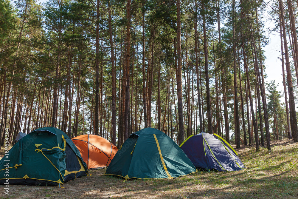 Four tents in a coniferous forest. Tents in a coniferous forest.