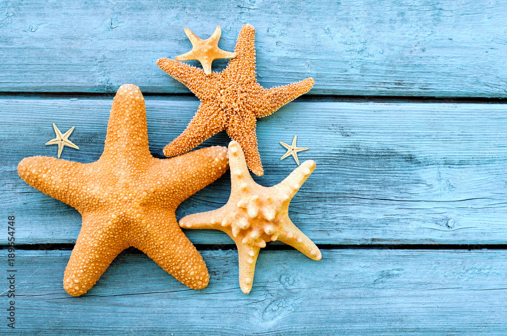 Summer sea background - shells, star on a wooden blue background Summer sea background - shells, star on a wooden blue background
