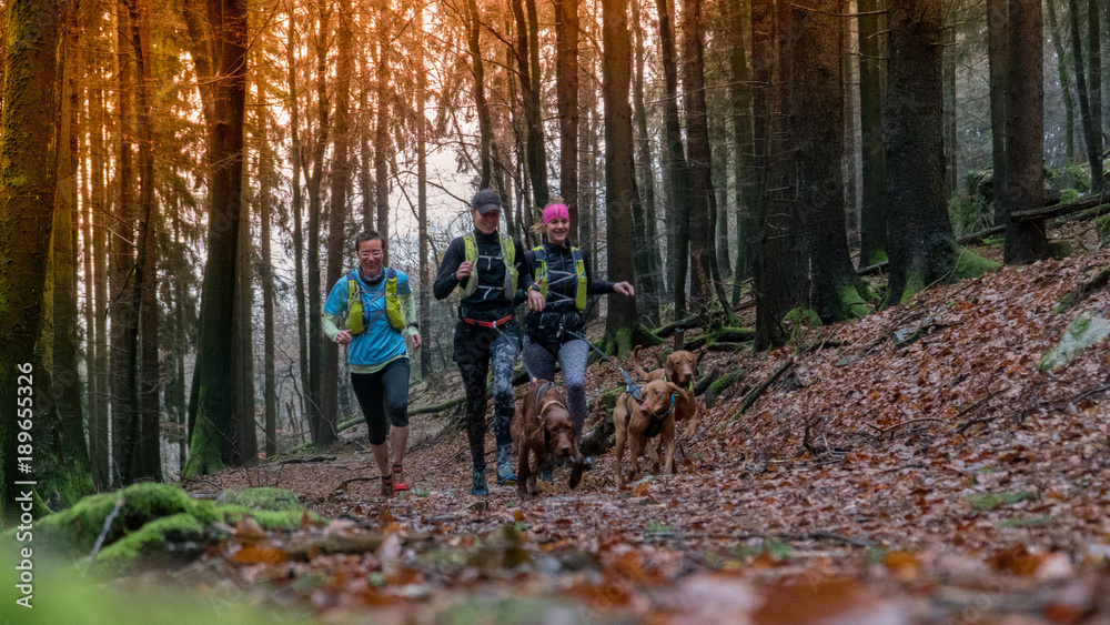 group of women jogging at forest, they run with a dogs in the nature