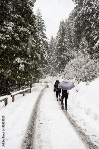 escursione invernale in Val Canali, nel parco naturale di Paneveggio - Trentino