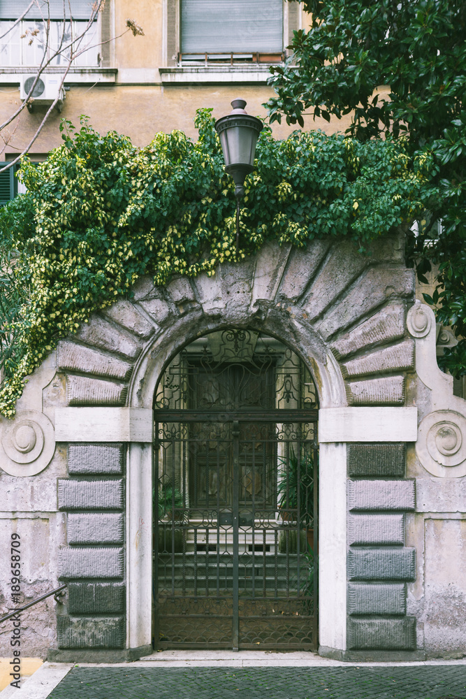A door in Rome with plants over the facade