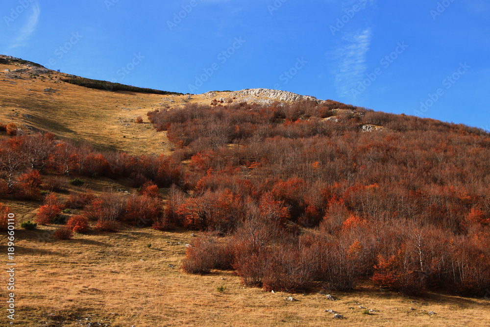 Φωτογραφία Bjelasnica mountain landscape near Sarajevo , Bosnia and Herzegovina