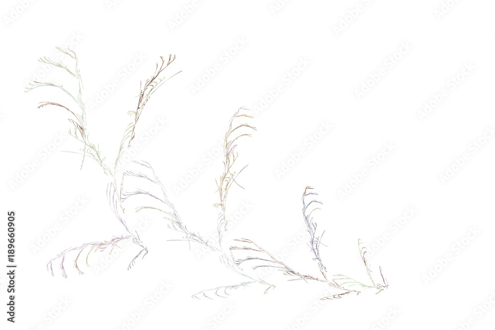 abstract grass, romantic background abstract grass, romantic background