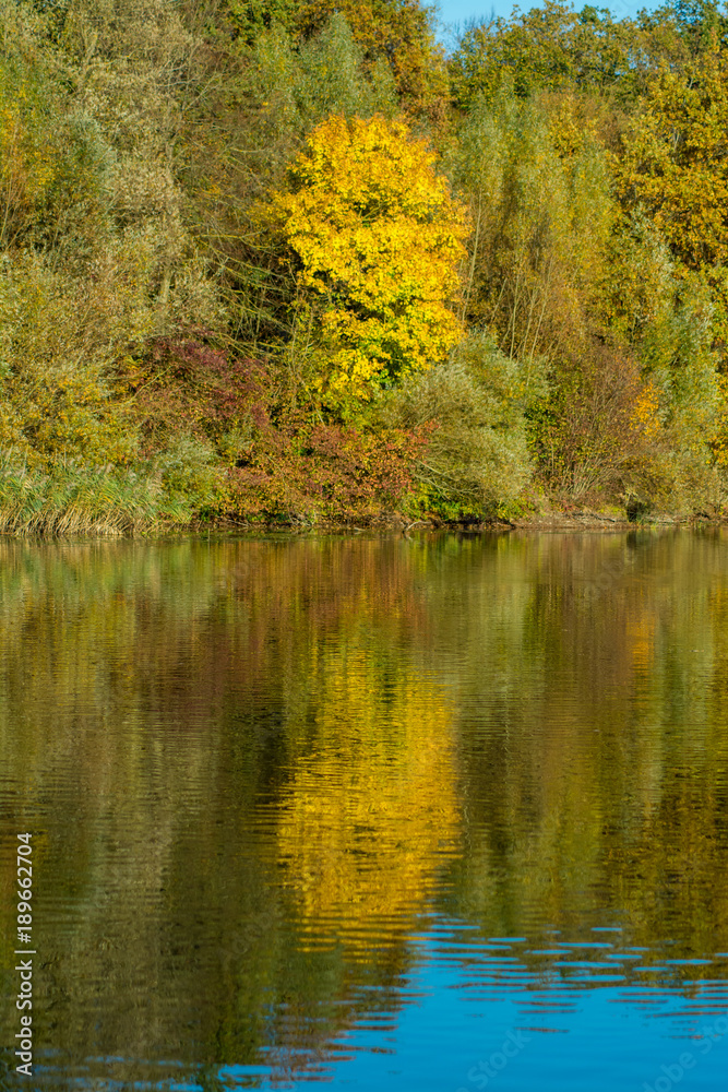Reflektionen am See im Herbst