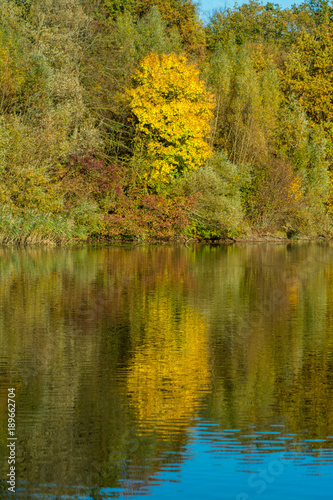 Wallpaper Mural Reflektionen am See im Herbst Torontodigital.ca