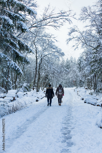 people are walking in the snow-covered forest