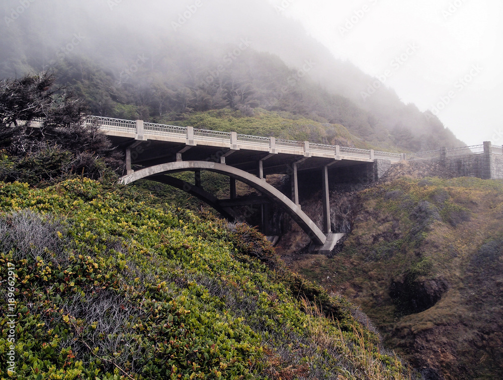 Fototapeta premium Foggy Arch Bridge at the Oregon Pacific Coast Highway, OR, USA