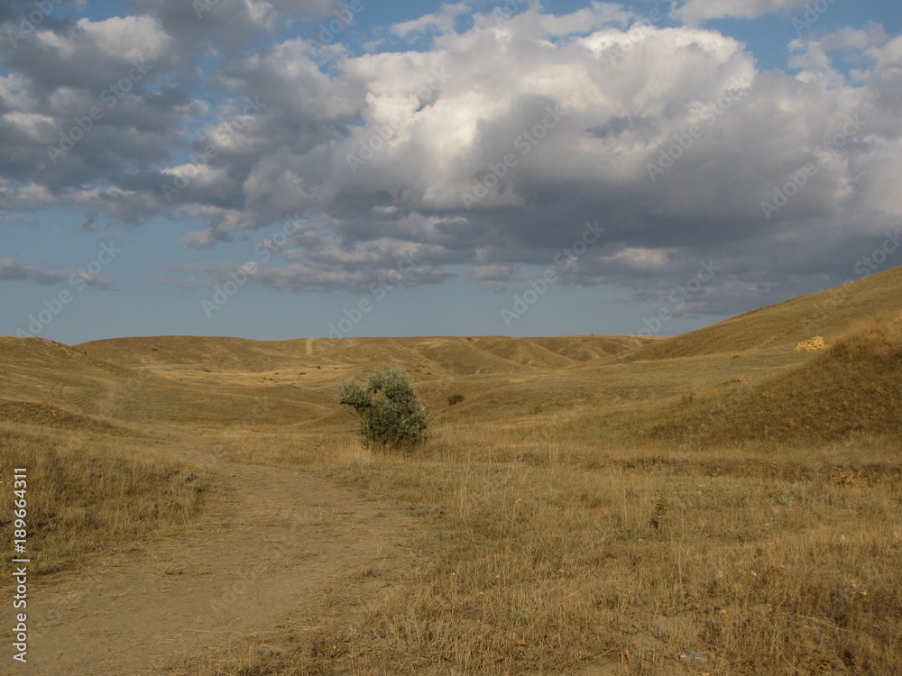 Obraz premium landscape