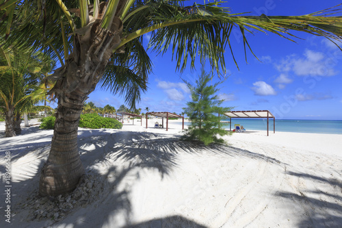 White sand beach with pulms in the Dominican Republic photo