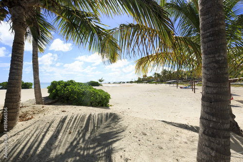 White sand beach with pulms in the Dominican Republic