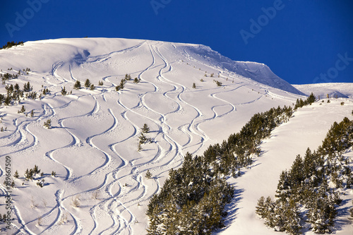 ski tracks in the fresh snow