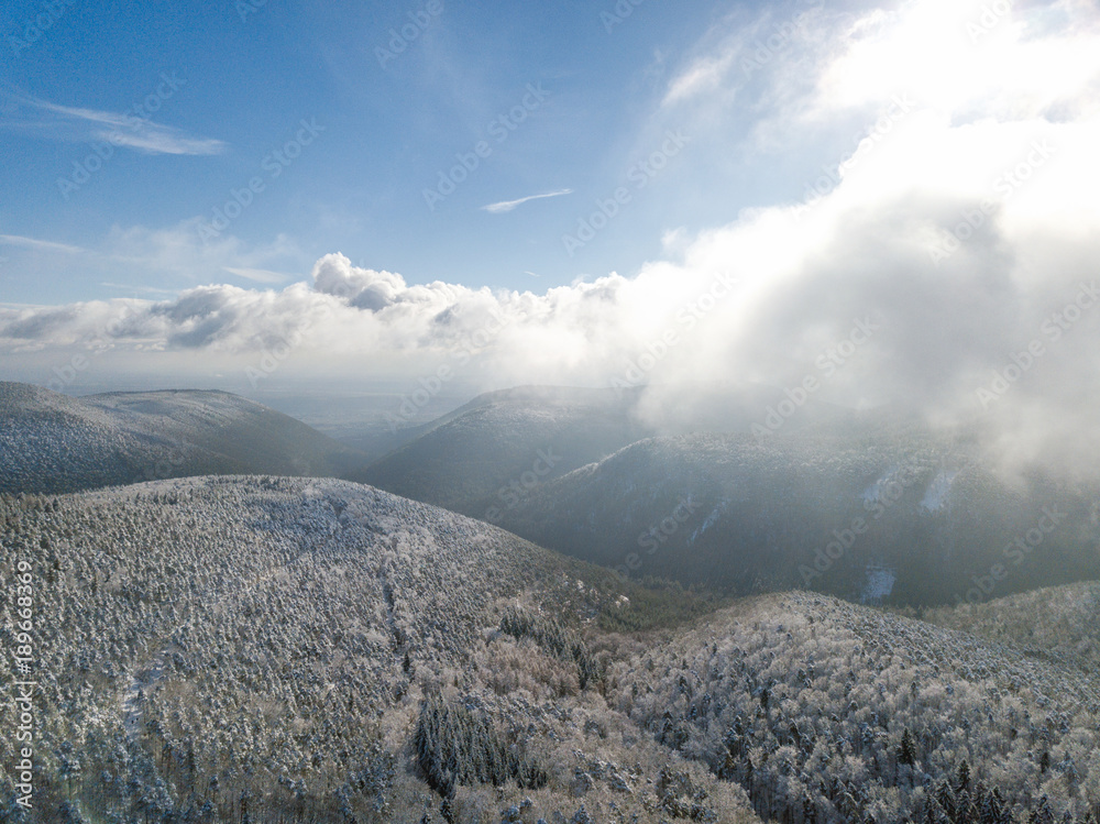 Forest drone flight in winter