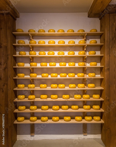 Wallpaper Mural Traditional process of making Dutch cheese Gouda Torontodigital.ca