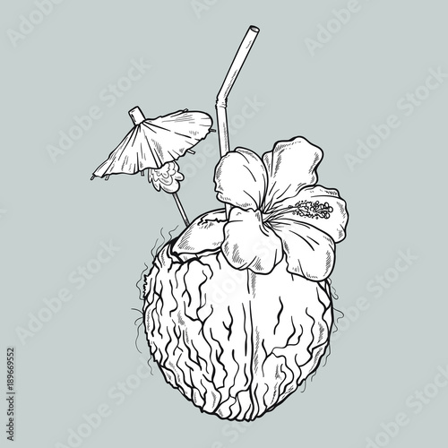 Vector coconut cocktail in lines. Line art style. Isolated on grey background.
