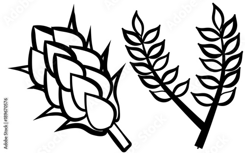 Black and white hop and malt on a white background. Beer ingredients. Vector illustration.