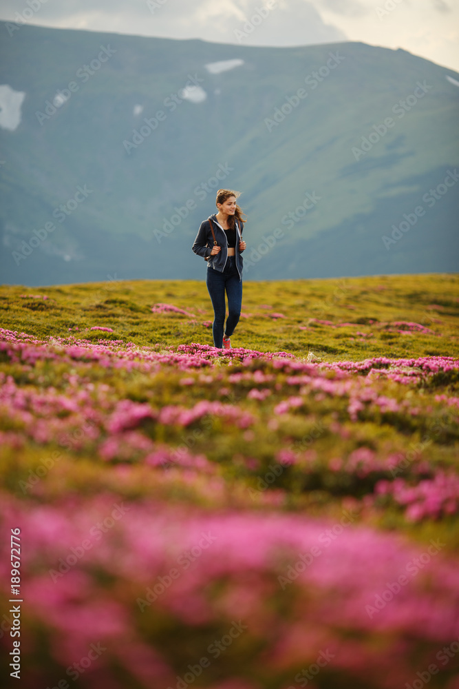 Shot of a young woman looking at the landscape while hiking in the mountains. Flowers in the mountains. Majestic flowers glowing by sunlight. Magic pink rhododendron flowers on summer mountain